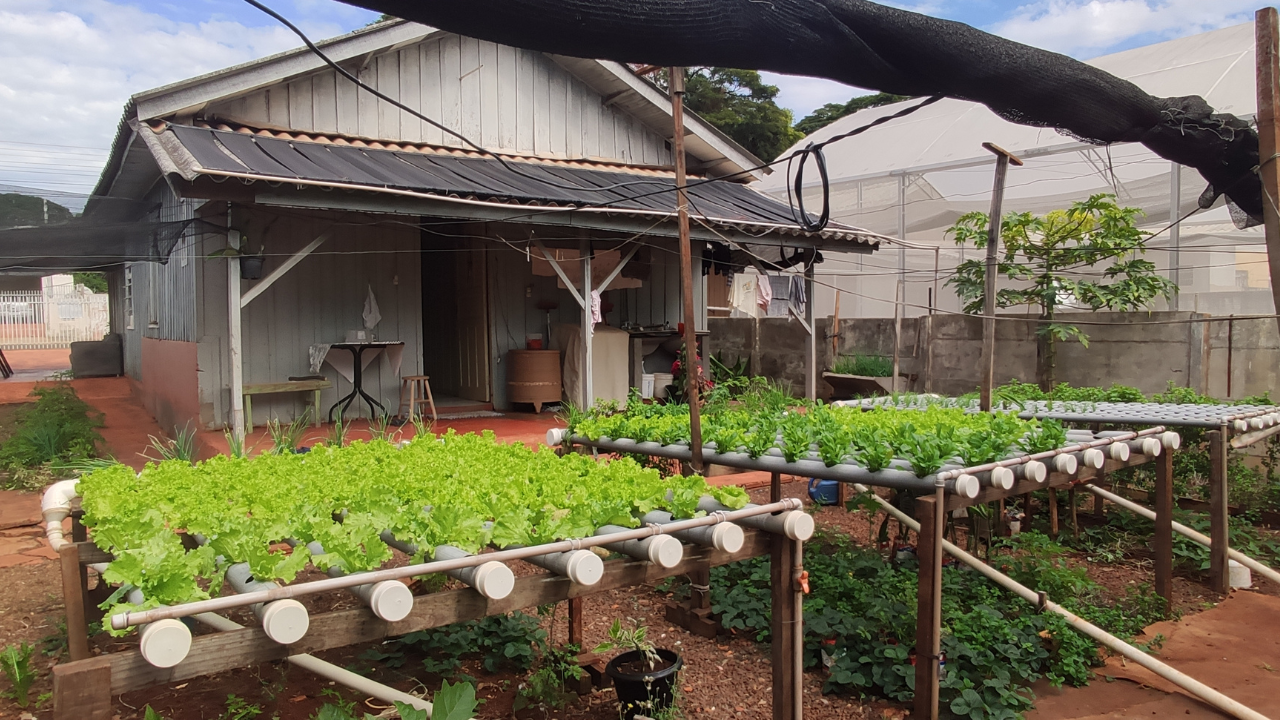 Horta caseira hidropônica