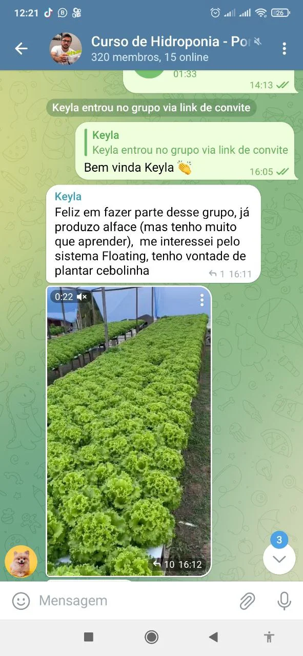 Print Fabio - estufa de hidroponia