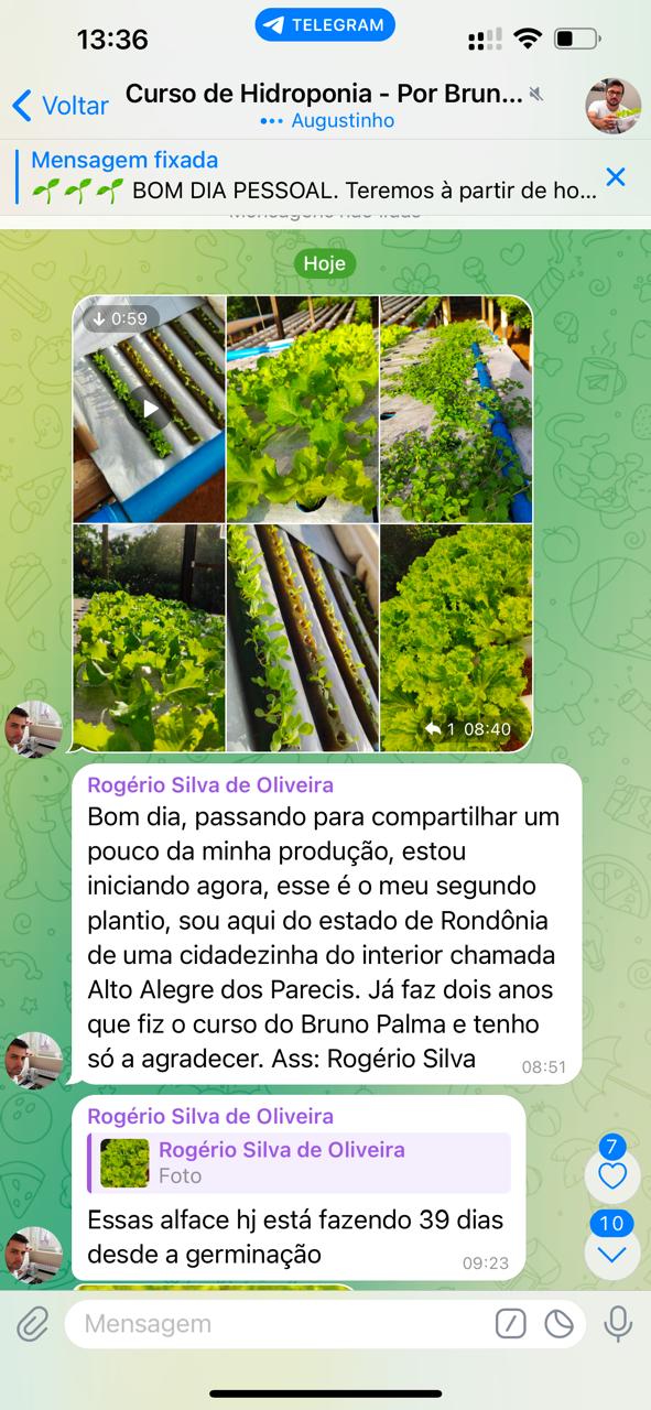 Print Fernando - colheita de alface