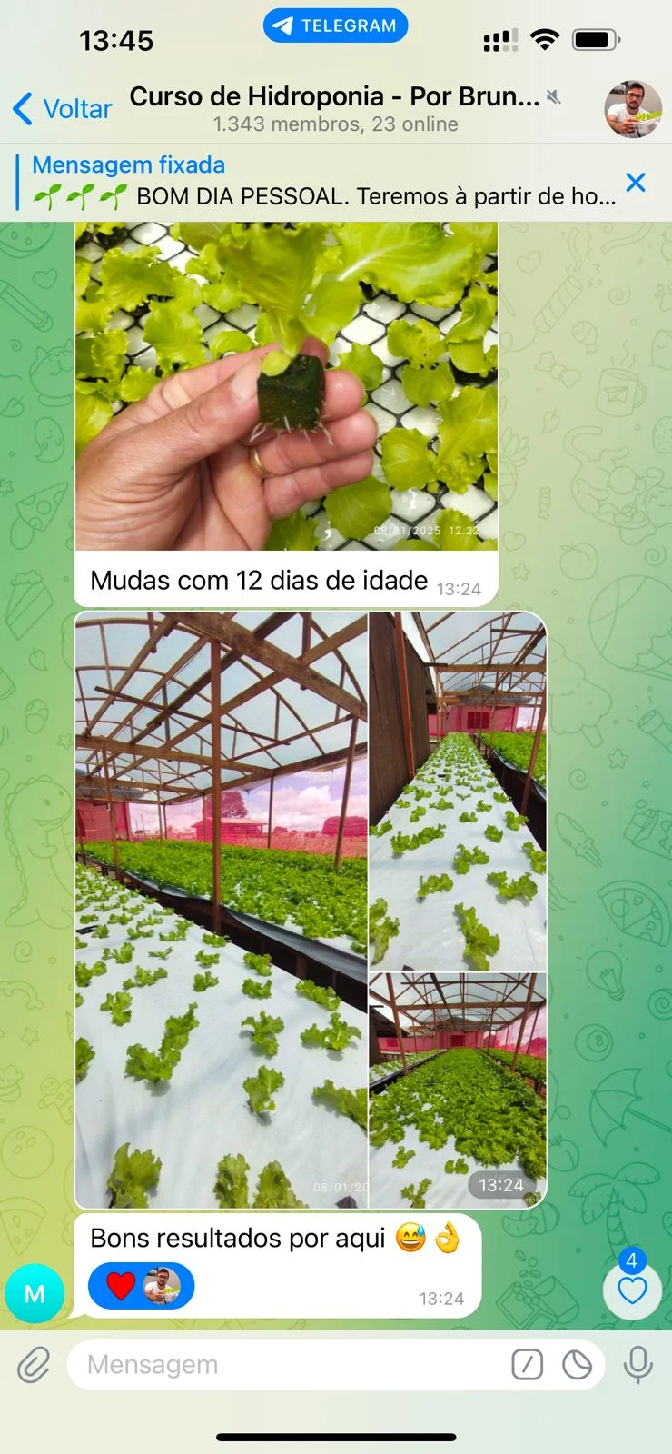 Print Rogério - Rondônia